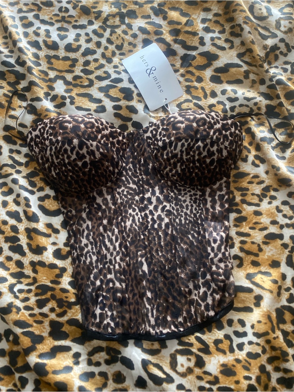 Cute Y2K Leopard Print Corset Top